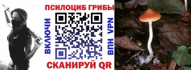 Галлюциногенные грибы прущие грибы  Купить где  Калач-на-Дону 